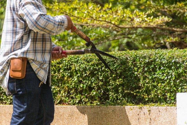 Garden Maintenance Chiswick, W4