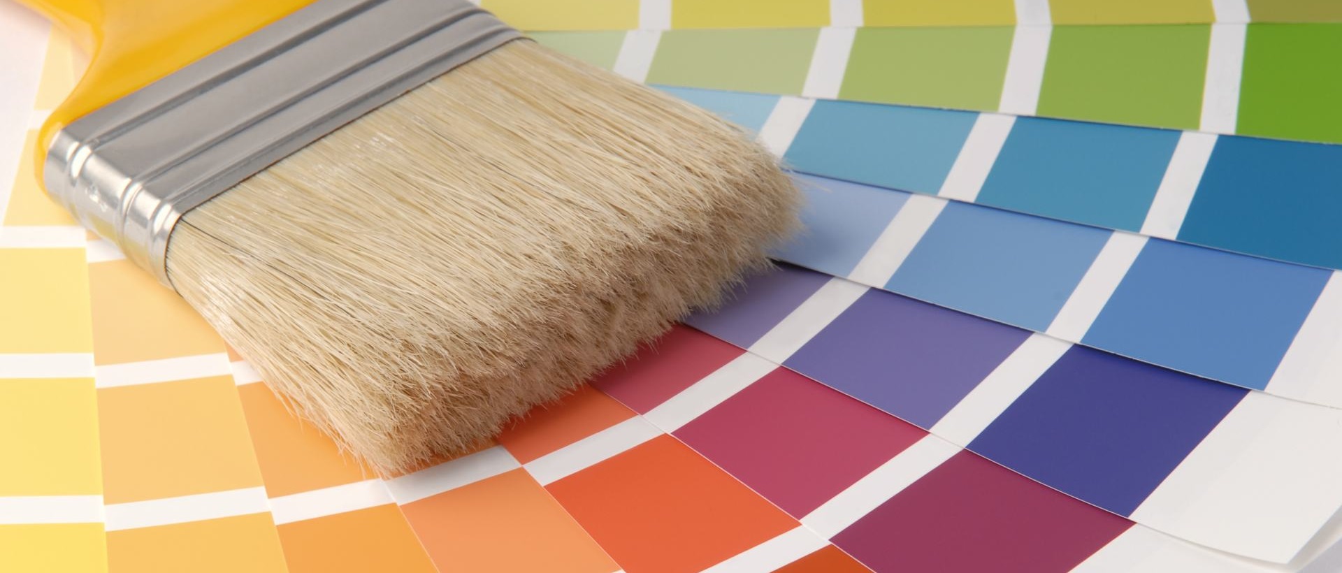 Painter W4